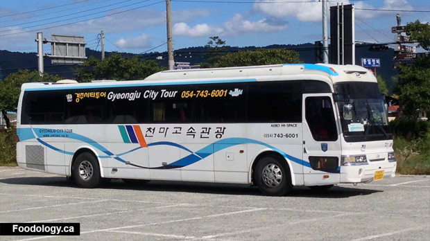 Gyeongju City Tour - Day Tours