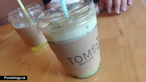 Tom's Cat Cafe