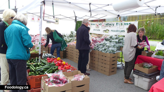 Steveston-farmers-market-booths