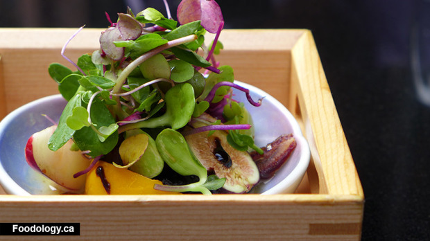 minami-stone-salad