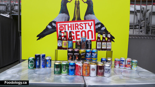 BC-Place-thirsty-pigeon