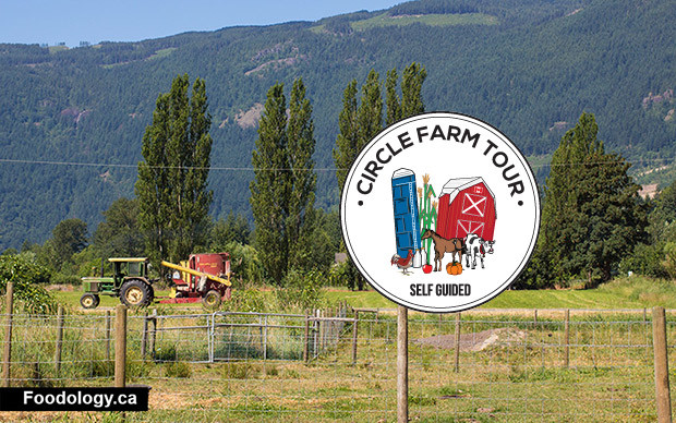 circle-farm-tours-tactor-logo