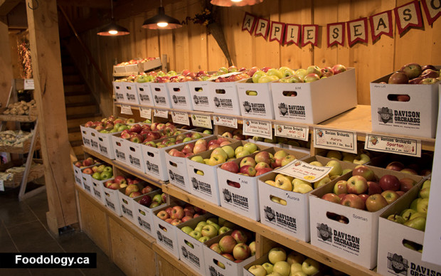 davidson-orchards-apple-box