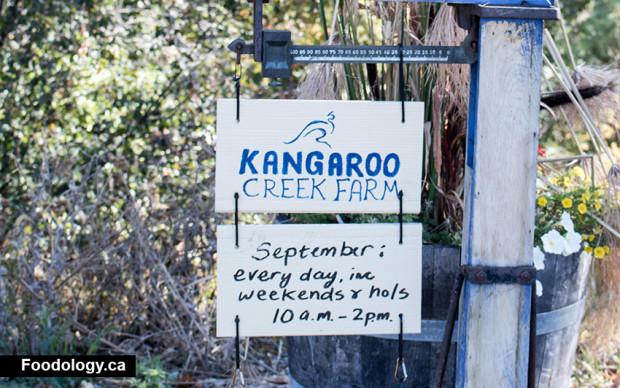 kangaroo-creek-farm