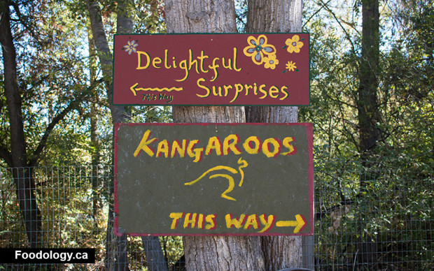 kangaroo-creek-farm-sign