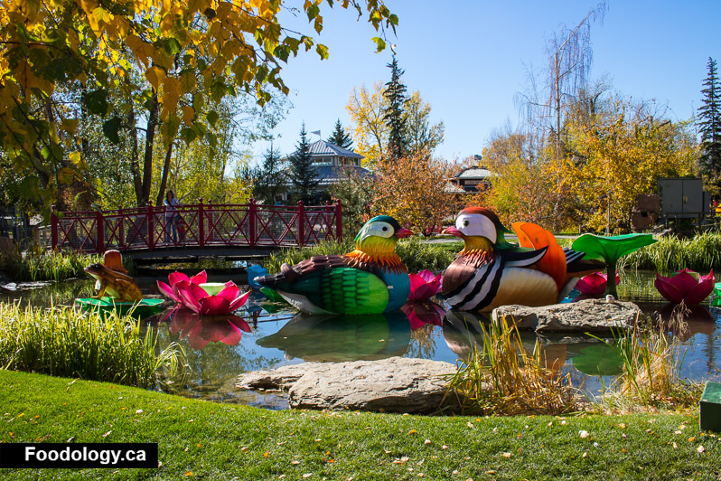 Calgary Zoo: Day Visit and Illuminasia - Foodology