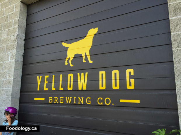 yellow-dog-brewing-7