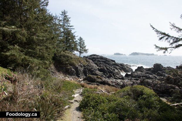 ucluelet-wild-pacific-trail-1