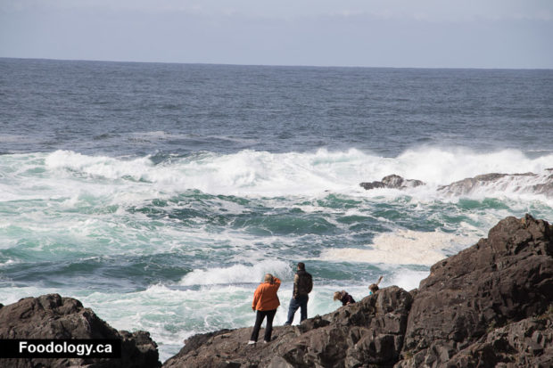 ucluelet-wild-pacific-trail-4