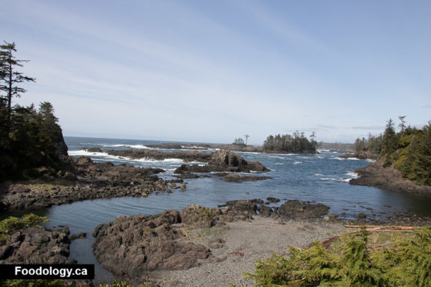 ucluelet-wild-pacific-trail-7