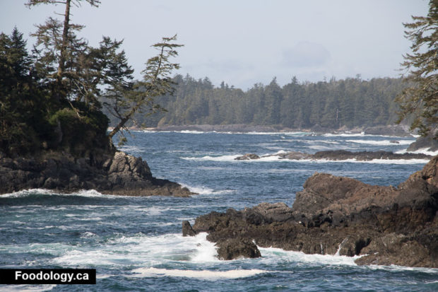 ucluelet-wild-pacific-trail-8