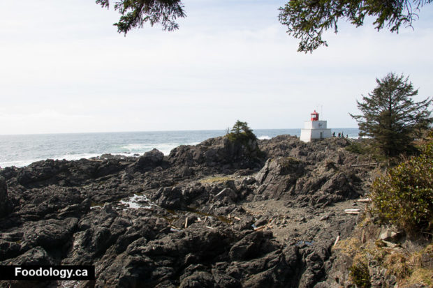 ucluelet-wild-pacific-trail-9