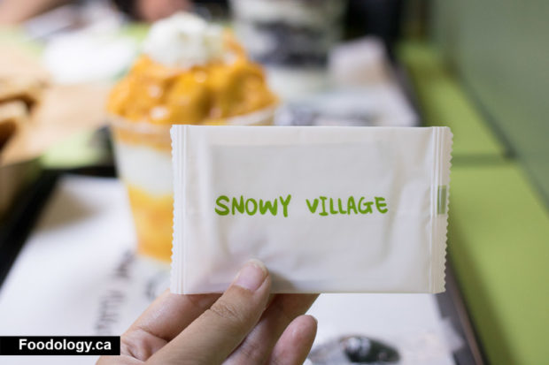 snowy-village-robson-12