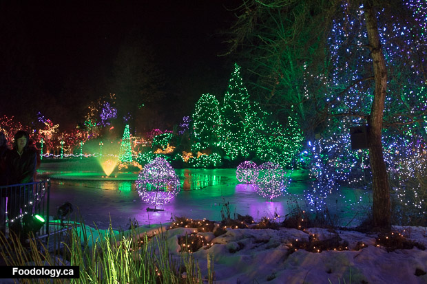 Festival of Lights at VanDusen Botanical Garden: Review - Foodology