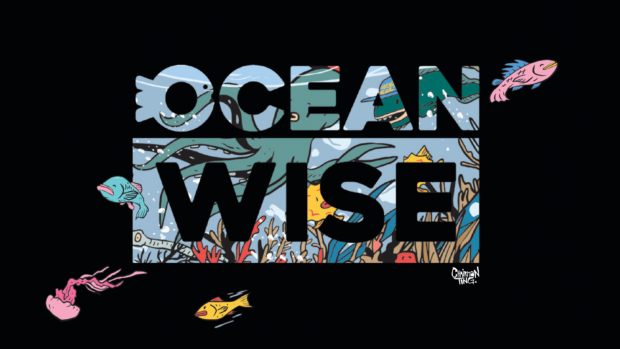 Ocean Wise Rebrands With Renewed Look And Globally Driven Approach