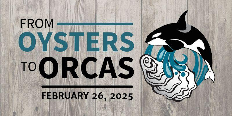 From Oysters to Orcas: Fanny Bay Oyster Bar hosts 8th annual Georgia Strait Alliance fundraiser Feb. 26